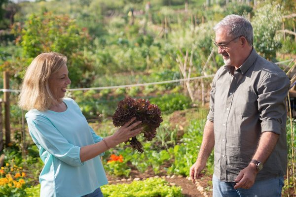 Cultiver des légumes bio dans son jardin potager