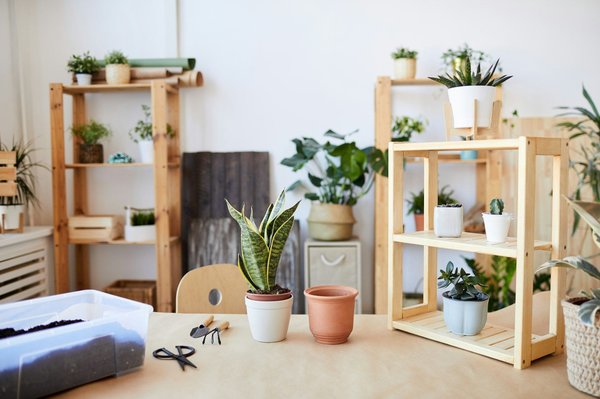 Arrosage bouteille à l'envers : simplifiez l'entretien de votre jardin