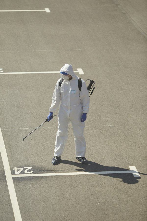 Désinsectisation punaises de lit toulouse : traitement efficace assuré